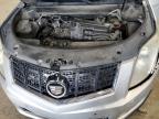 CADILLAC SRX PERFOR photo