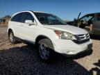 HONDA CR-V EXL photo