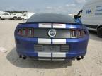 FORD MUSTANG GT photo