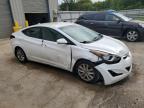 HYUNDAI ELANTRA SE photo