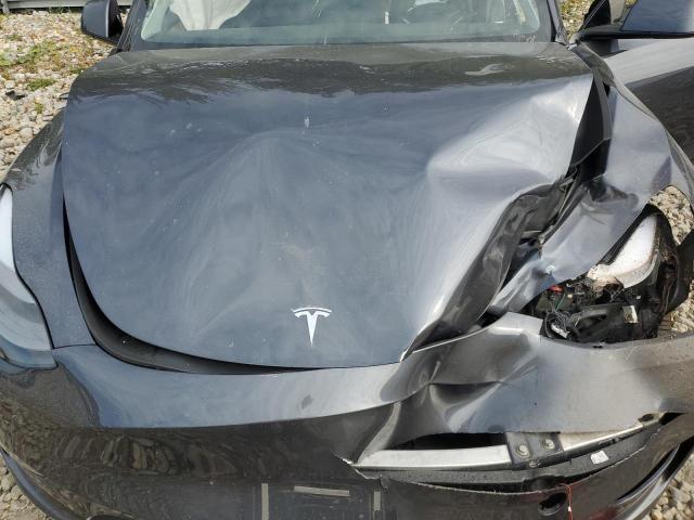2023 TESLA MODEL Y - 7SAYGDEEXPA202737