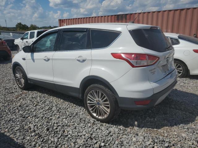 VIN 1FMCU0G90FUA53381 2015 Ford Escape, SE no.2