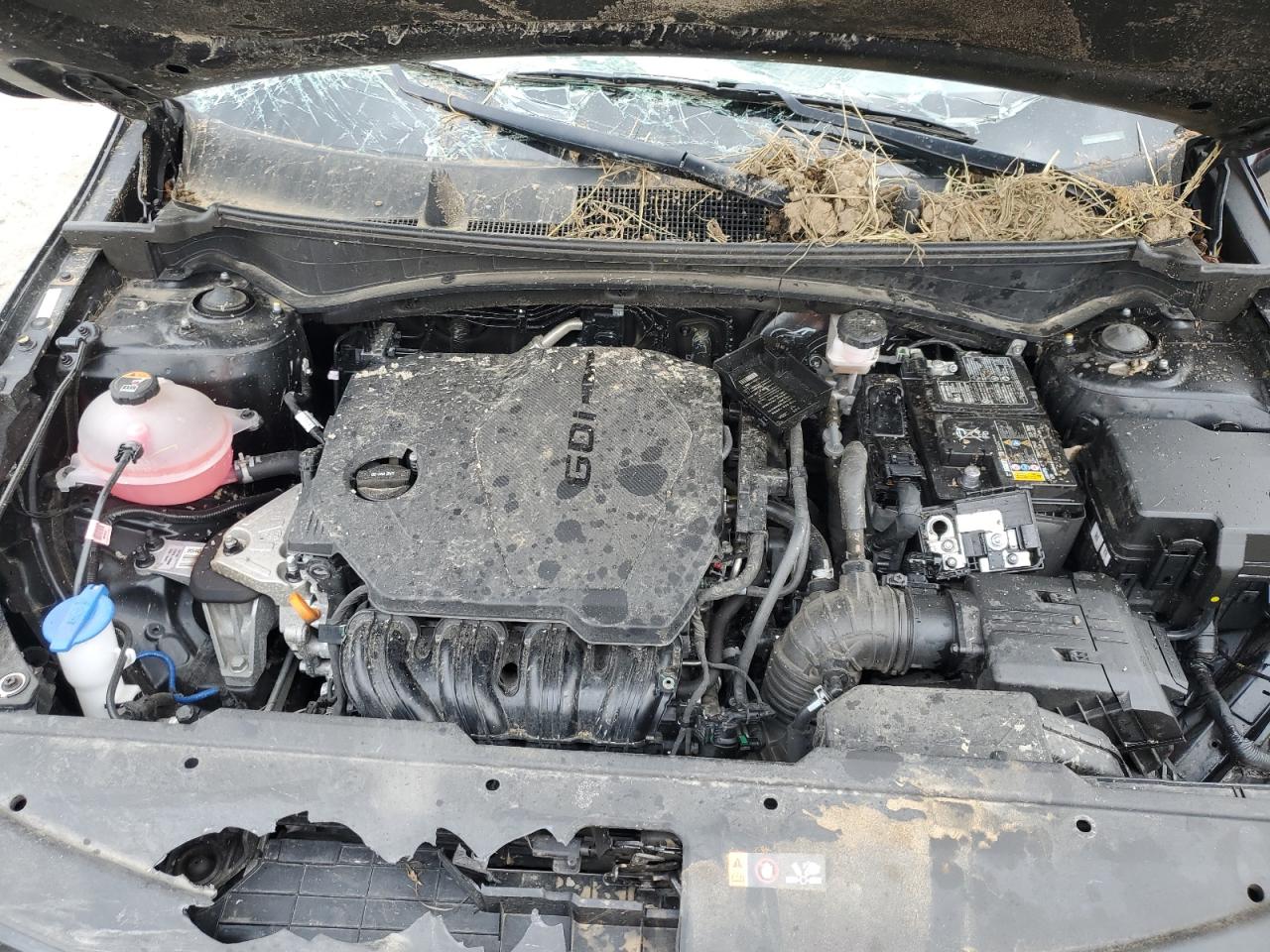 Lot #3311654221 2023 KIA SPORTAGE S