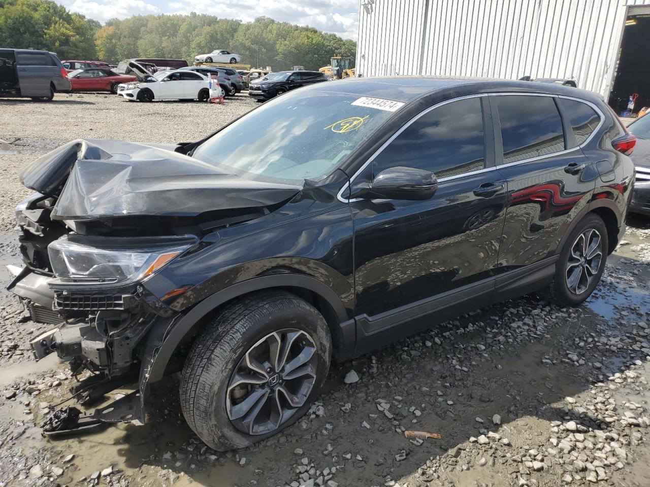 Lot #2994188256 2022 HONDA CR-V EX