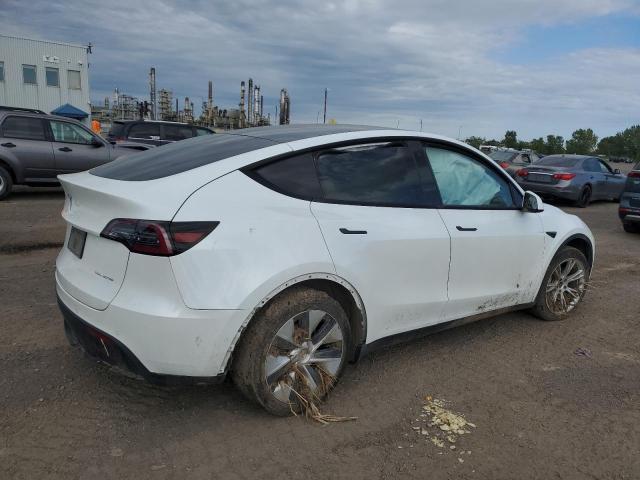2020 TESLA MODEL Y - 5YJYGDEE2LF026213