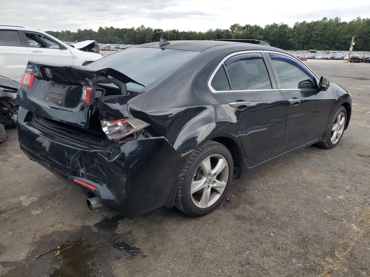 Lot #2869719008 2009 ACURA TSX