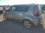 KIA SOUL + photo