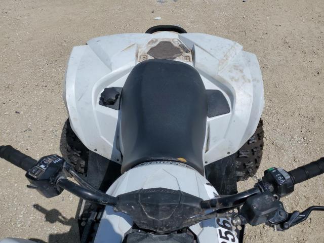 2023 CAN-AM RENEGADE 6 3JBMGAJ49PJ000238