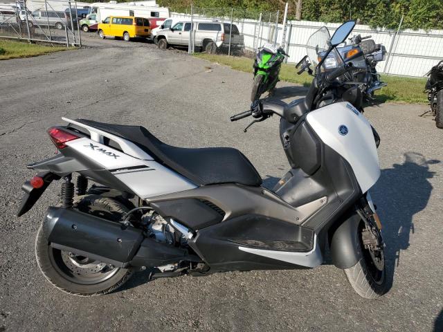 2023 YAMAHA CZD300 A 2023