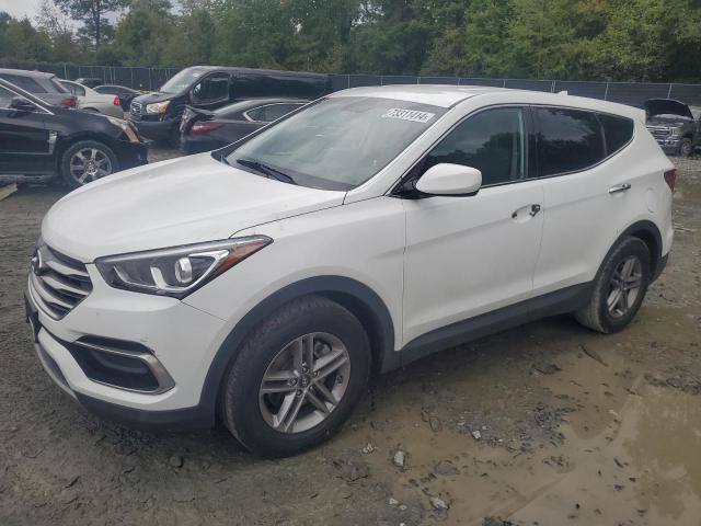 2017 HYUNDAI SANTA FE S - 5NMZT3LBXHH034939