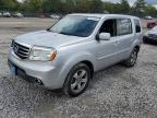 HONDA PILOT EXL photo