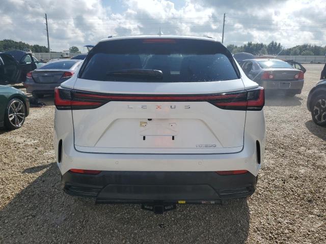 2023 LEXUS NX 250 JTJGDCAZ2P5009827
