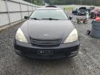 LEXUS ES 300 photo