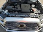 TOYOTA TACOMA DOU photo