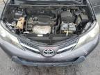 TOYOTA RAV4 XLE photo