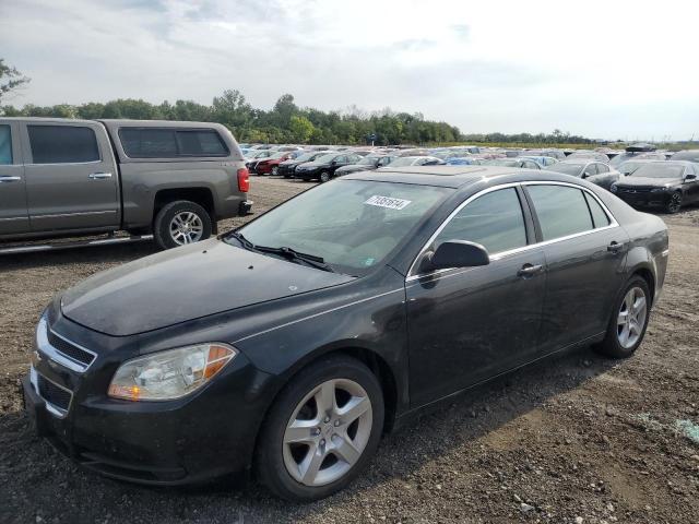 2011 CHEVROLET MALIBU LS 1G1ZB5E17BF151488  71351614