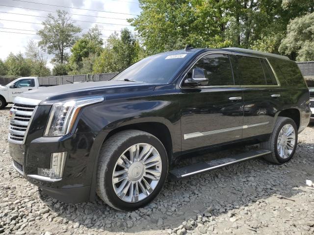 VIN 1GYS4PKJ8FR625515 2015 Cadillac Escalade, Platinum no.1