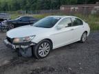 HONDA ACCORD EXL photo