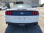 FORD MUSTANG photo