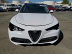 ALFA ROMEO STELVIO photo