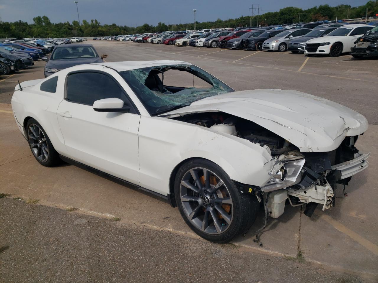 Lot #2943300671 2012 FORD MUSTANG GT