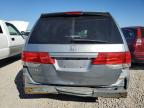 HONDA ODYSSEY EX photo