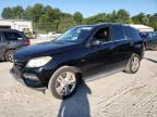 MERCEDES-BENZ ML 350 4MA photo