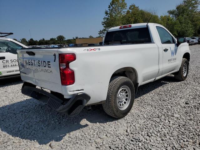 2019 CHEVROLET SILVERADO - 3GCNYAEF1KG269219