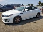 KIA OPTIMA LX photo