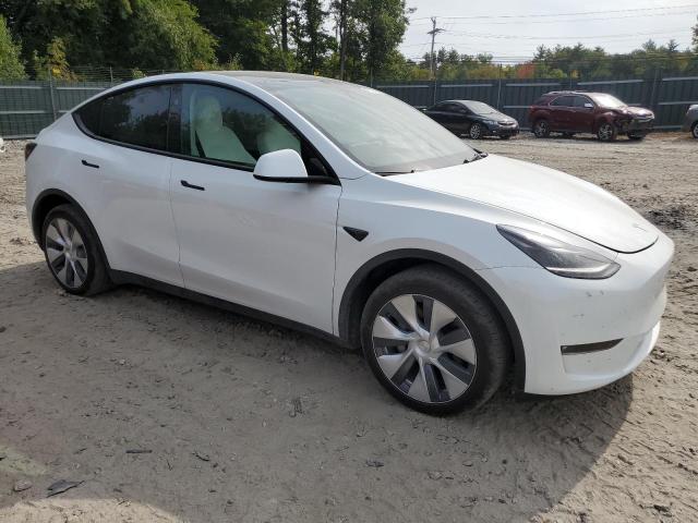 2023 TESLA MODEL Y - 7SAYGDEE2PF857090