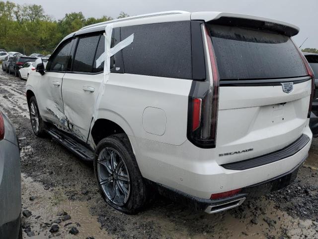 2021 CADILLAC ESCALADE P 1GYS4BKL1MR372734  67933764