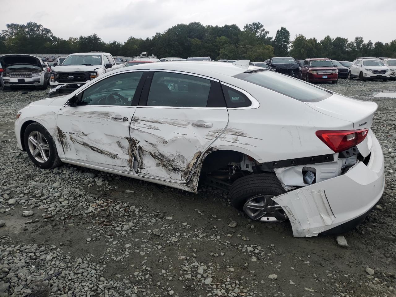 Lot #2914863798 2024 CHEVROLET MALIBU LT