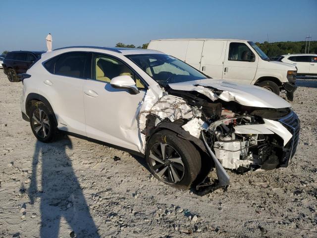 2020 LEXUS NX 300H - JTJGJRDZ8L5008327