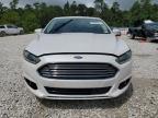 FORD FUSION SE photo