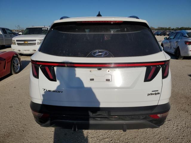 2023 HYUNDAI TUCSON LIM - 5NMJECAE2PH212166