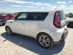 KIA SOUL + photo