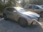 LEXUS NX 350H BA photo