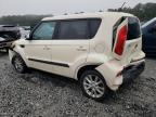 KIA SOUL + photo