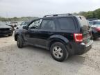 FORD ESCAPE XLT photo