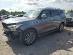 INFINITI QX80 LUXE снимка