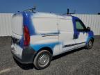 RAM PROMASTER photo