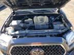 TOYOTA TACOMA DOU photo