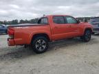 TOYOTA TACOMA DOU photo