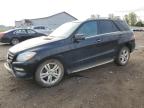 MERCEDES-BENZ ML 350 4MA photo