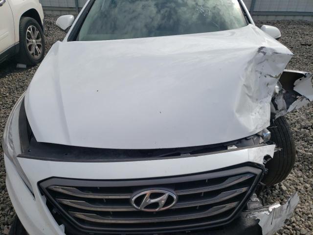 2016 HYUNDAI SONATA SPO - 5NPE34AF8GH399860