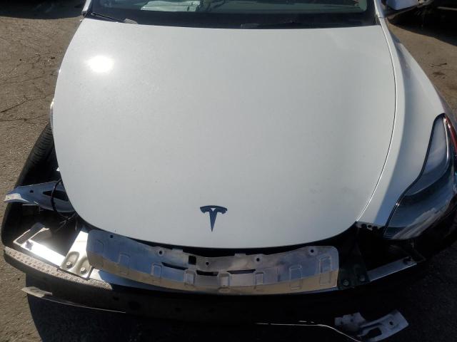 2023 TESLA MODEL Y - 7SAYGDEEXPF810843