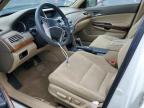 Lot #3024831409 2008 HONDA ACCORD EX