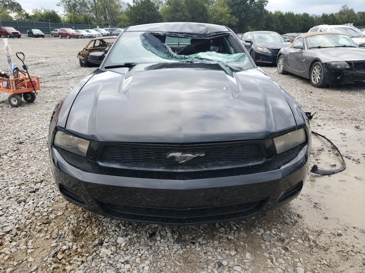 Lot #2921573657 2010 FORD MUSTANG