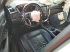 CADILLAC SRX photo