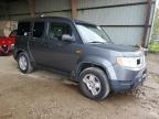 HONDA ELEMENT LX photo